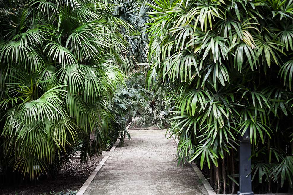 Parques y Jardines de València Parcs i Jardins de València