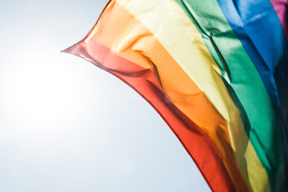 Diversia II: Diversitat sexual, familiar i de gènere Diversia II: Diversitat sexual, familiar i de gènere
