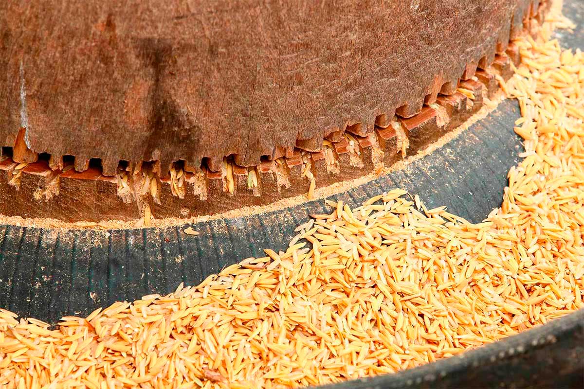 La arqueología industrial de un antiguo molino de arroz L'arqueologia industrial d'un antic molí d'arròs