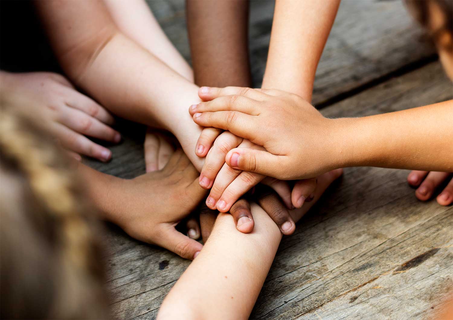 Todos/as a una por la Diversidad Tots/es a una per la Diversitat