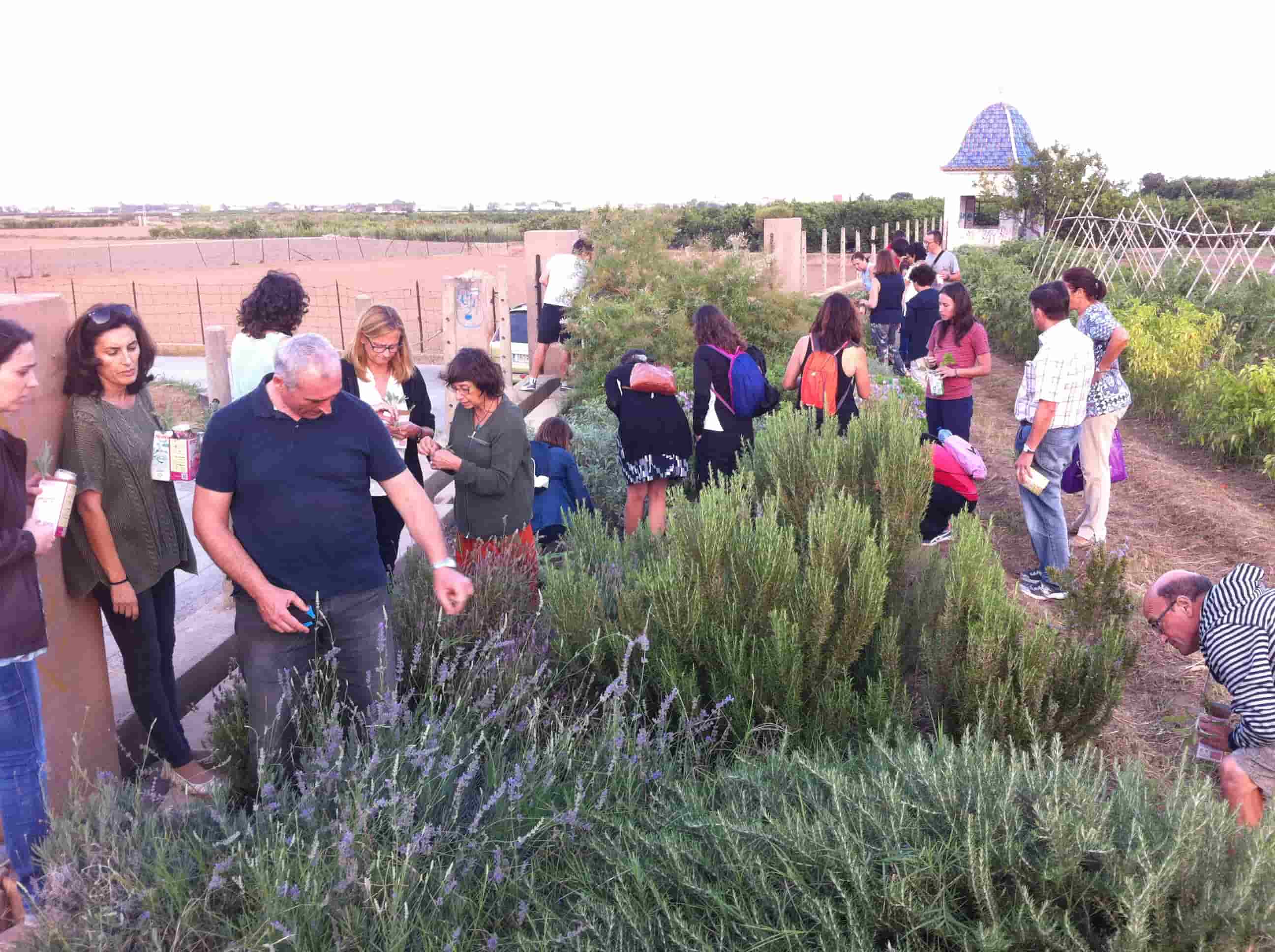 FOTO Huerto escolar ecológico