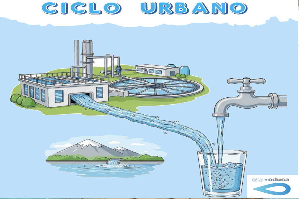 JORNADAS SOBRE EL CICLO URBANO DEL AGUA 987X658 Árboles de nuestra ciudad
