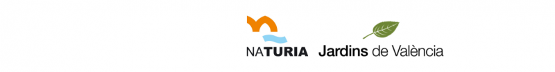 Logotipo de la Regidoria de Educación.